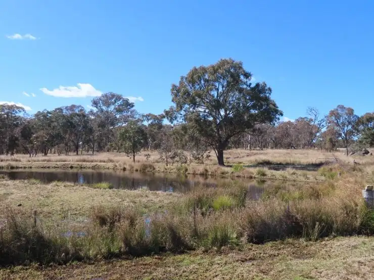 Sixth view of Homely rural property listing, 255 Thorndale Road, Broadwater QLD 4380