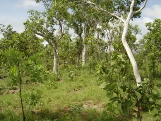 Main view of Homely rural property listing, 315 Dorat Rd, Adelaide River NT 846