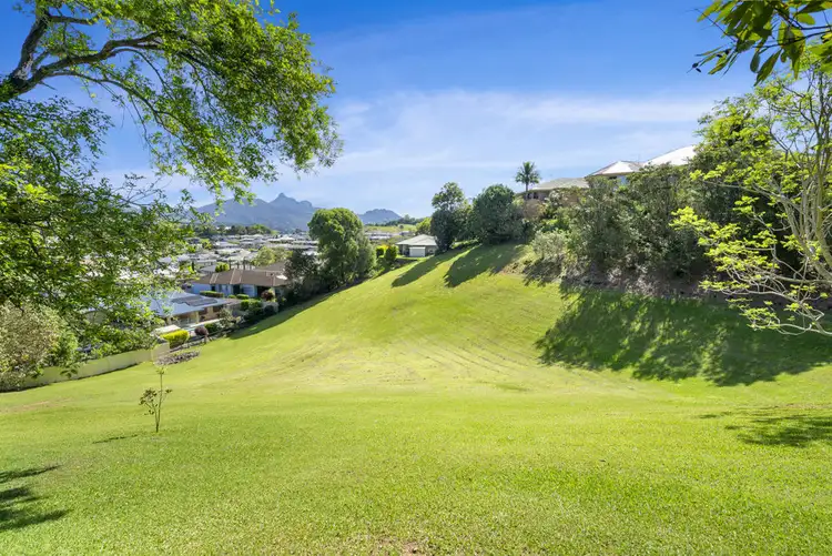 Third view of Homely rural property listing, 20 Old Lismore Road, Murwillumbah NSW 2484