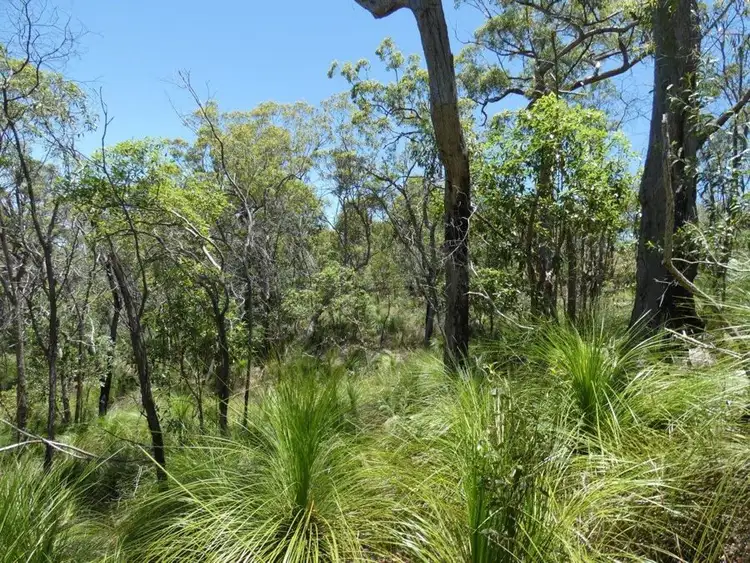 Fifth view of Homely rural property listing, Lot 125 Seabreeze Court, Deepwater QLD 4674