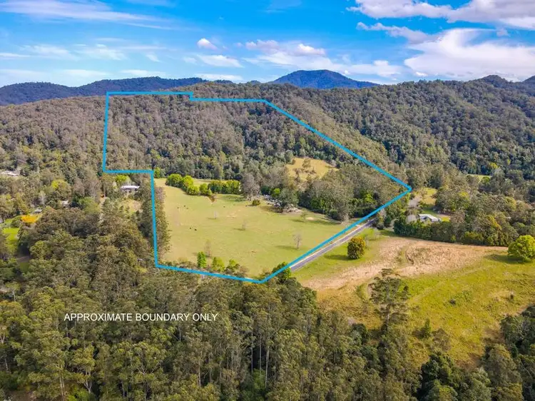 Fifth view of Homely rural property listing, 527 Kalang Rd, Bellingen NSW 2454
