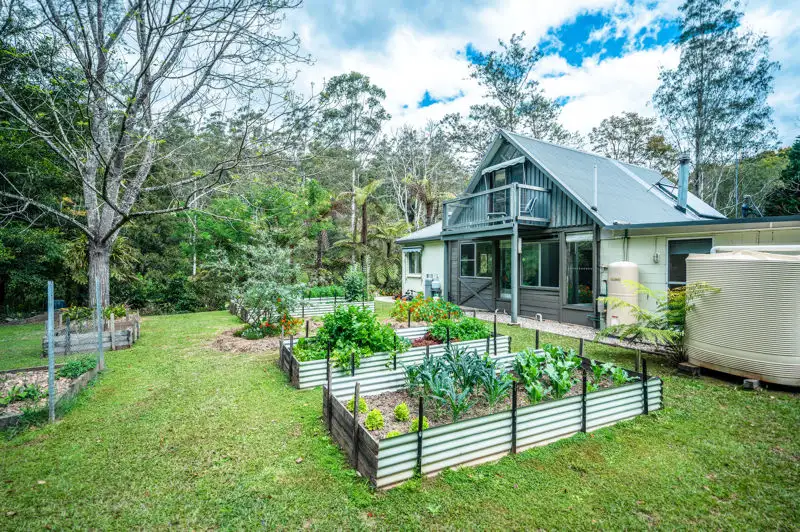 Main view of Homely rural property listing, 2300 Kalang Road, Bellingen NSW 2454