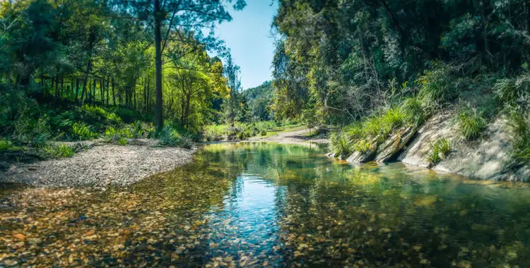 Third view of Homely rural property listing, 2300 Kalang Road, Bellingen NSW 2454