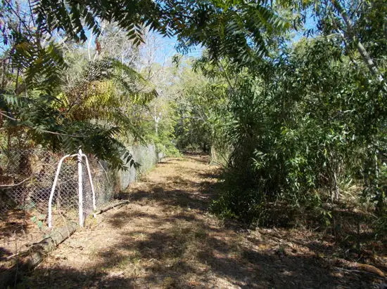 Seventh view of Homely rural property listing, 31 Cox Drive, Wagait Beach NT 822