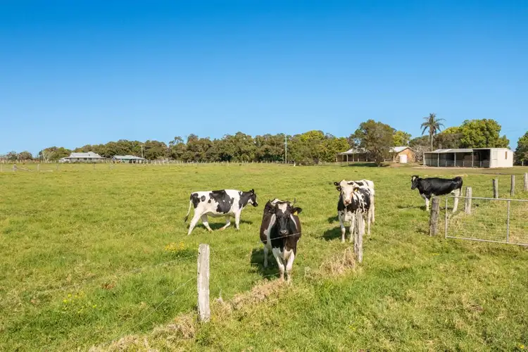 Fourth view of Homely house listing, 443 Right Bank Rd, Belmore River NSW 2440