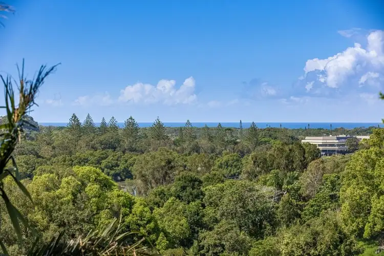Fourth view of Homely house listing, 81 Laura Street, Banora Point NSW 2486