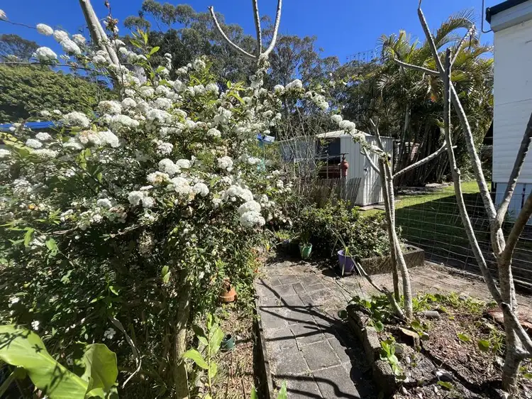 Seventh view of Homely house listing, 151 Rosewood Drive, Valla Beach NSW 2448