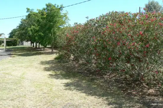 Seventh view of Homely rural property listing, 9 Allan Cunningham, Scone NSW 2337