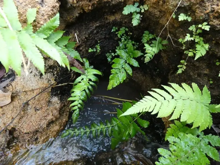 Fifth view of Homely rural property listing, Lot 16 MacKellor Road, Lowmead QLD 4676