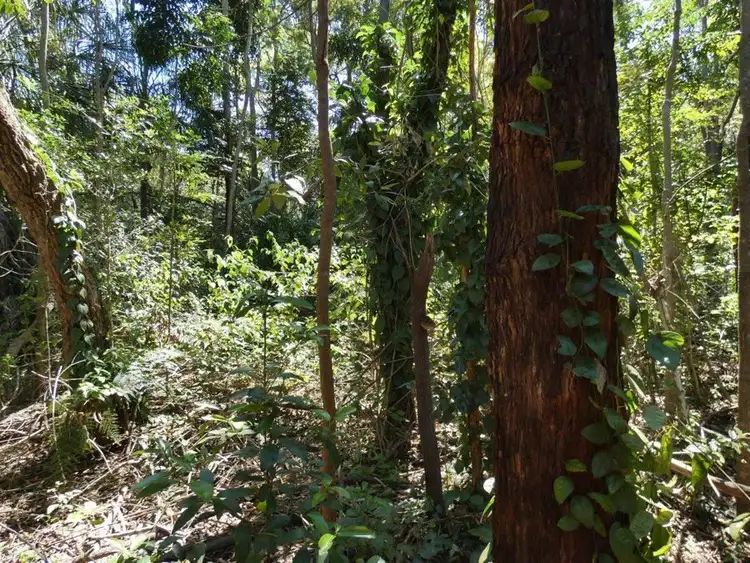 Sixth view of Homely rural property listing, Lot 16 MacKellor Road, Lowmead QLD 4676