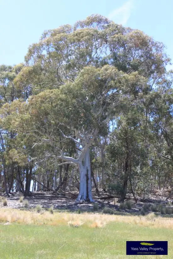Third view of Homely rural property listing, 142 Corregans Road, Murrumbateman NSW 2582