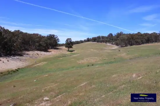 Fifth view of Homely rural property listing, 142 Corregans Road, Murrumbateman NSW 2582