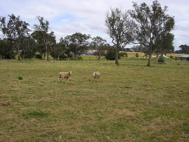 Fourth view of Homely land listing, 6 Archer Close, Yass NSW 2582