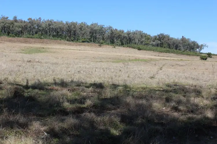 Seventh view of Homely house listing, 1550 Adams Scrub Rd, Delungra NSW 2403