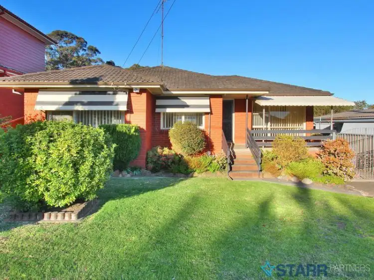 Main view of Homely house listing, 6 Daffodil Street, Greystanes NSW 2145
