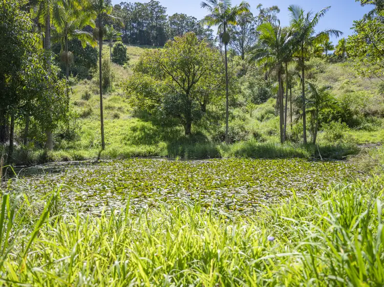 Fifth view of Homely house listing, 200D Ayrshire Park Drive, Boambee NSW 2450