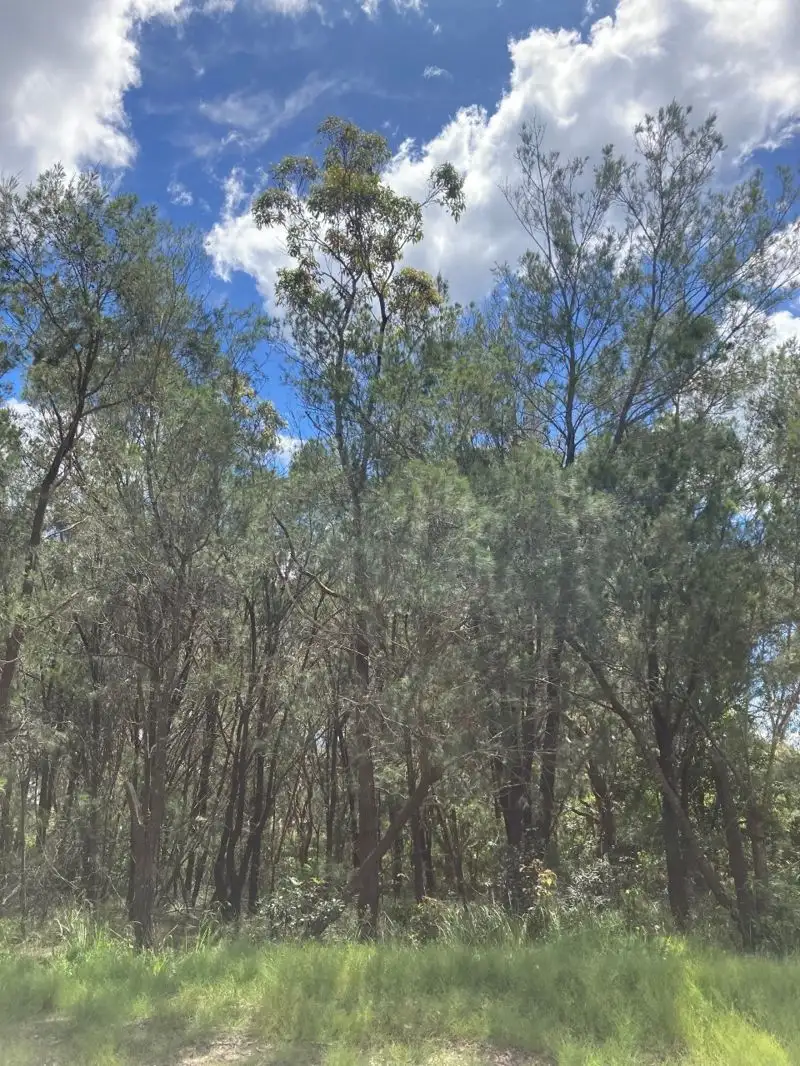 Main view of Homely land listing, 10 Pirama Road,, Wyee NSW 2259