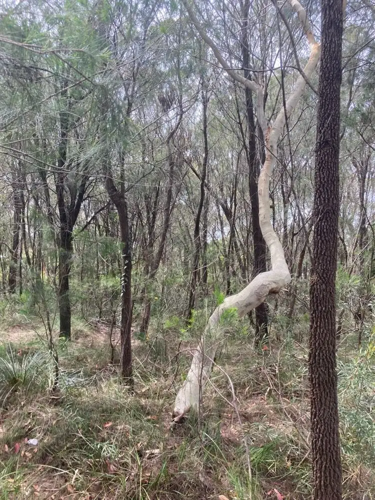 Second view of Homely land listing, 10 Pirama Road,, Wyee NSW 2259