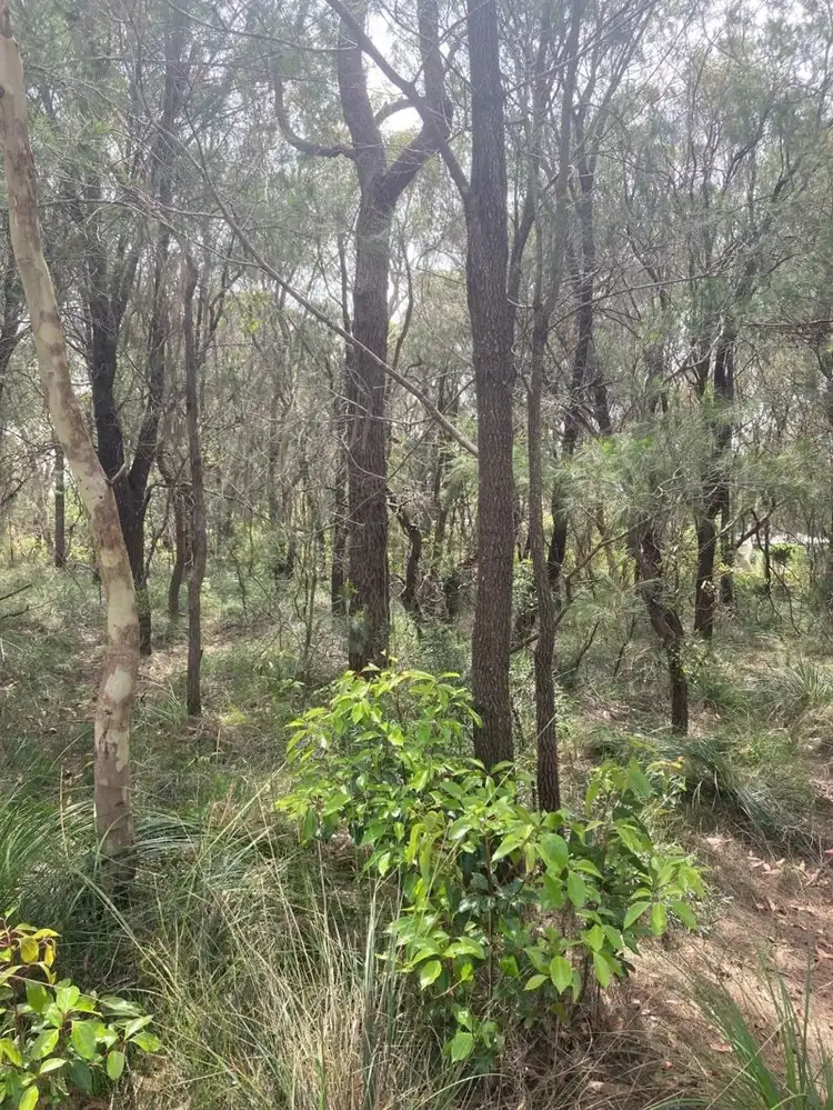 Fourth view of Homely land listing, 10 Pirama Road,, Wyee NSW 2259