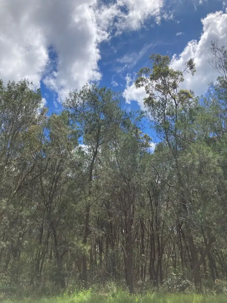 Main view of Homely land listing, 8 Pirama Road,, Wyee NSW 2259