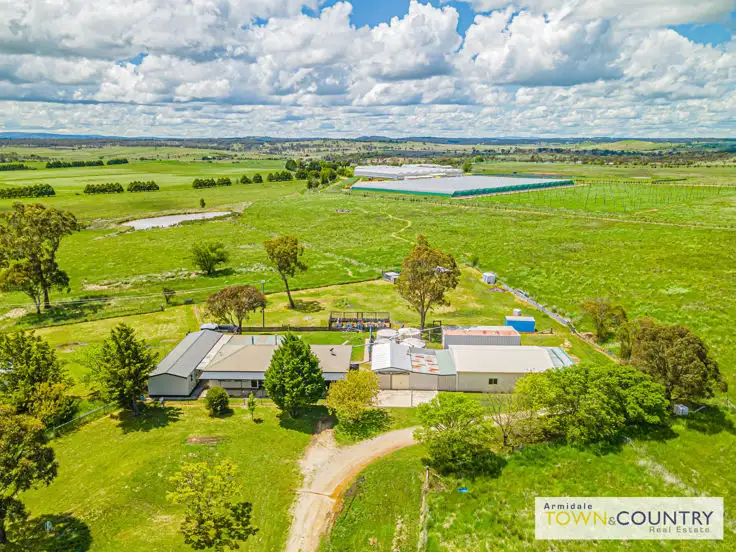 Main view of Homely rural property listing, 911 Castledoyle Road, Armidale NSW 2350