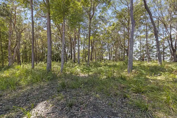 Seventh view of Homely land listing, 121 Pearl Circuit, Valla NSW 2448