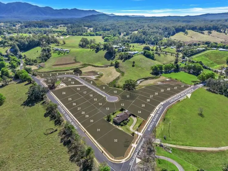 Seventh view of Homely land listing, 105 North Bank Road, Bellingen NSW 2454