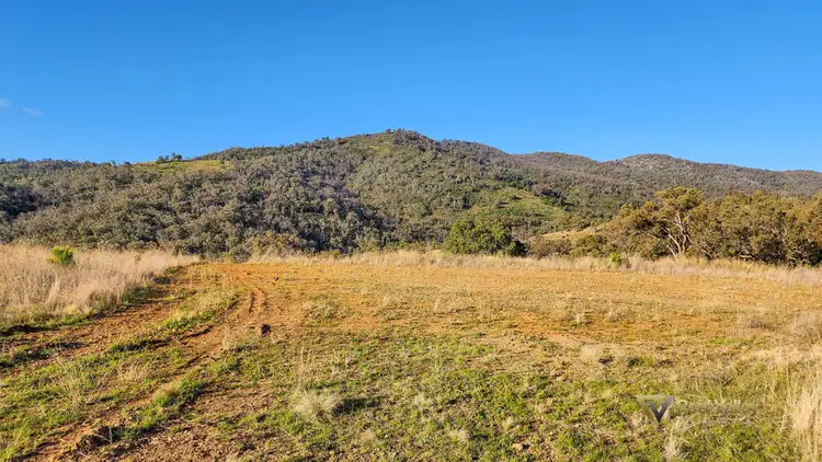 Third view of Homely land listing, Lot 1 Halls Creek Road, Halls Creek NSW 2346