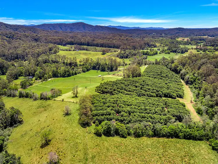 Third view of Homely land listing, 174 Mitchells Road, Valla NSW 2448