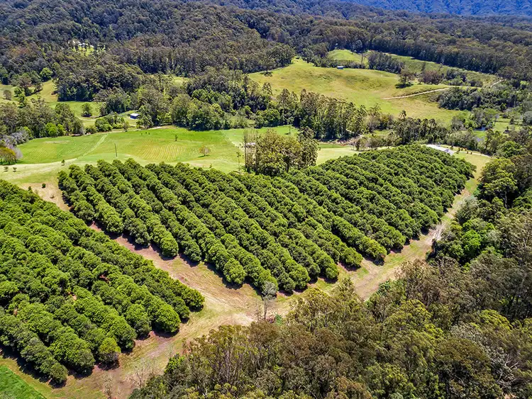 Fourth view of Homely land listing, 174 Mitchells Road, Valla NSW 2448