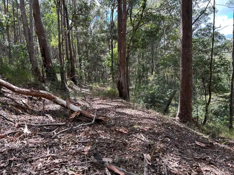 Lot 4 Goodyear Road, Cedar Pocket QLD 4570