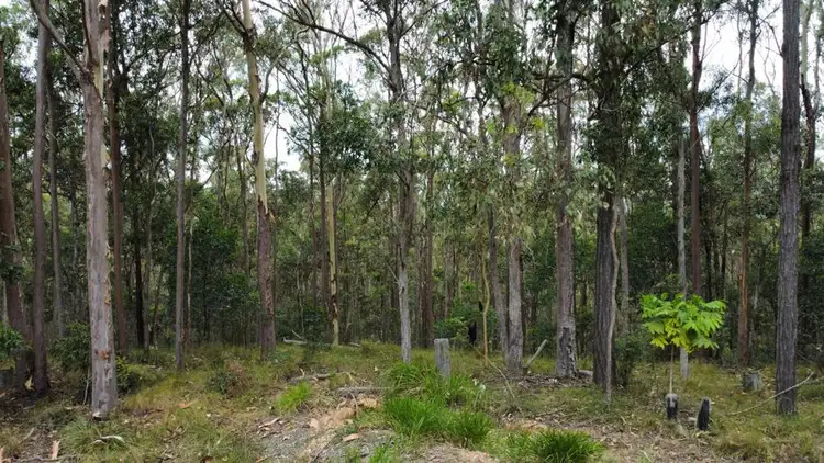 Third view of Homely land listing, Lot 4 Goodyear Road, Cedar Pocket QLD 4570