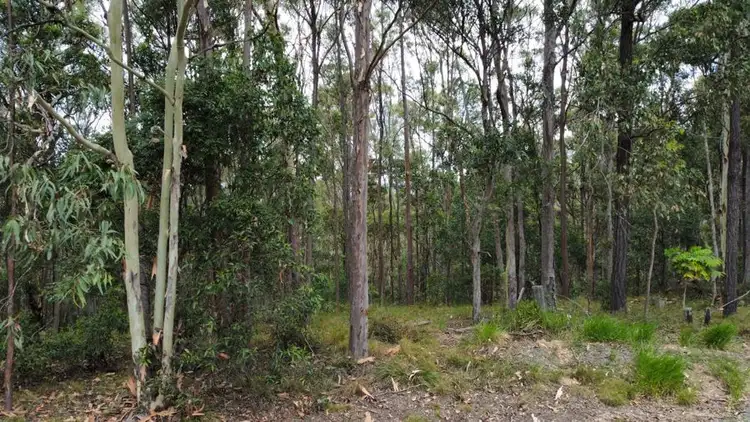 Sixth view of Homely land listing, Lot 4 Goodyear Road, Cedar Pocket QLD 4570