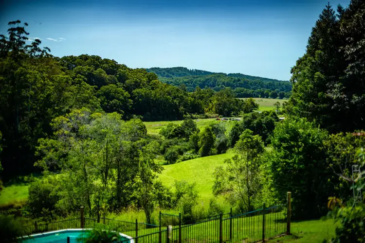 Third view of Homely house listing, 161 Mount Street, Bellingen NSW 2454