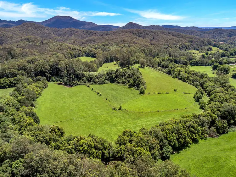 Second view of Homely land listing, 532 Bowraville Road, Brierfield NSW 2454