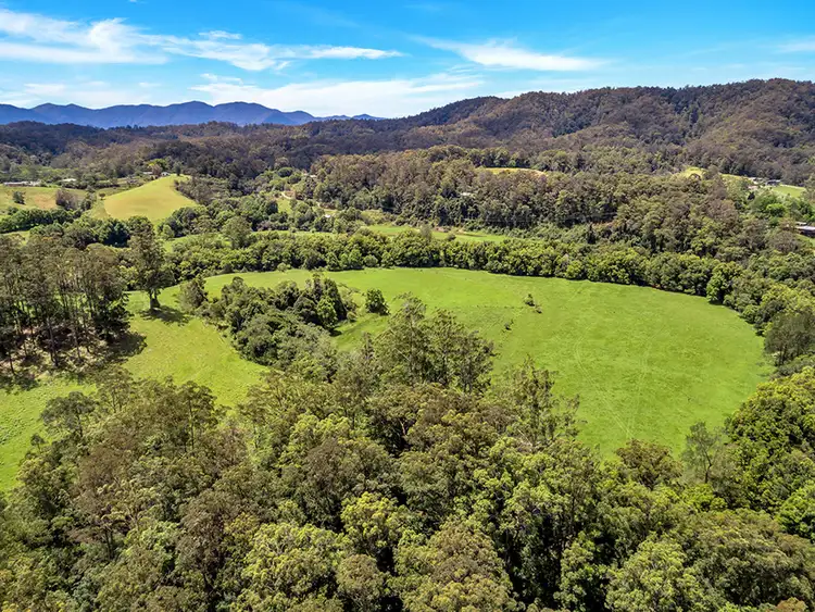 Third view of Homely land listing, 532 Bowraville Road, Brierfield NSW 2454