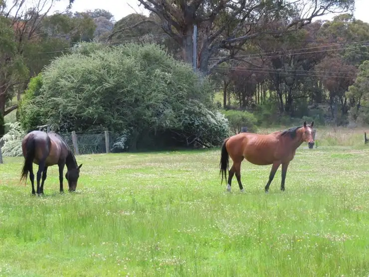 Sixth view of Homely rural property listing, 1199 Eukey Road, Eukey QLD 4380