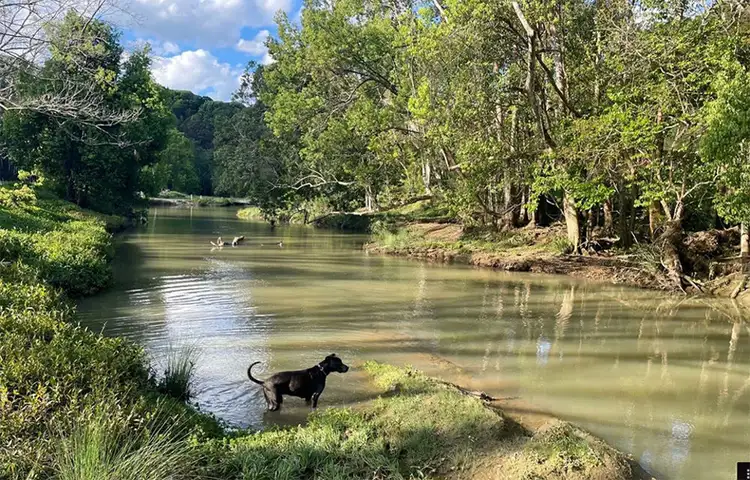 Second view of Homely rural property listing, 393 Urliup Road, Urliup NSW 2484