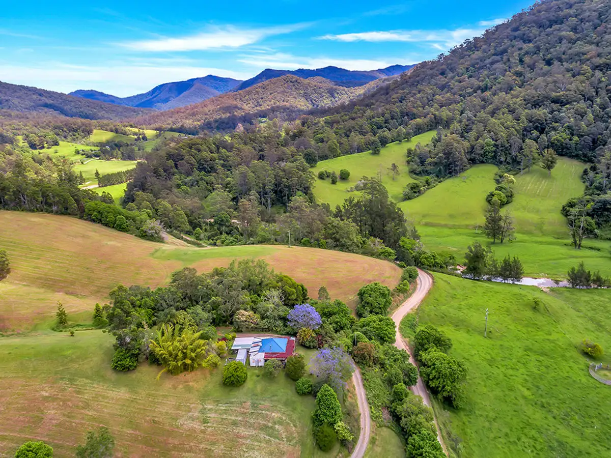 Main view of Homely house listing, 335 Upper Buckrabendinni Road, Buckra Bendinni NSW 2449