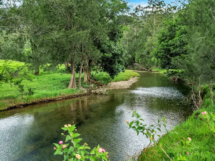 Fifth view of Homely house listing, 335 Upper Buckrabendinni Road, Buckra Bendinni NSW 2449