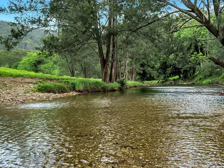 Sixth view of Homely house listing, 335 Upper Buckrabendinni Road, Buckra Bendinni NSW 2449
