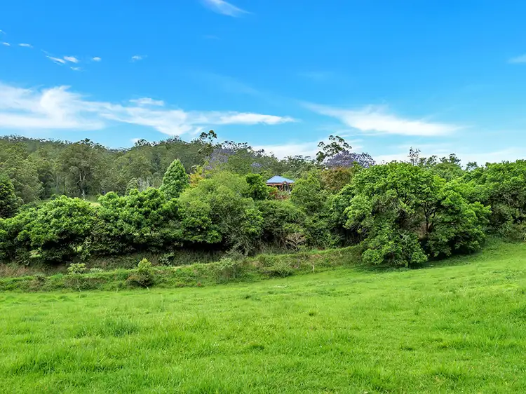 Seventh view of Homely house listing, 335 Upper Buckrabendinni Road, Buckra Bendinni NSW 2449