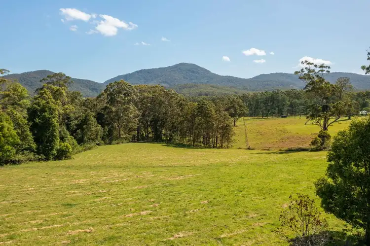 Main view of Homely rural property listing, 1192 Herberts Road, Ballengarra NSW 2441