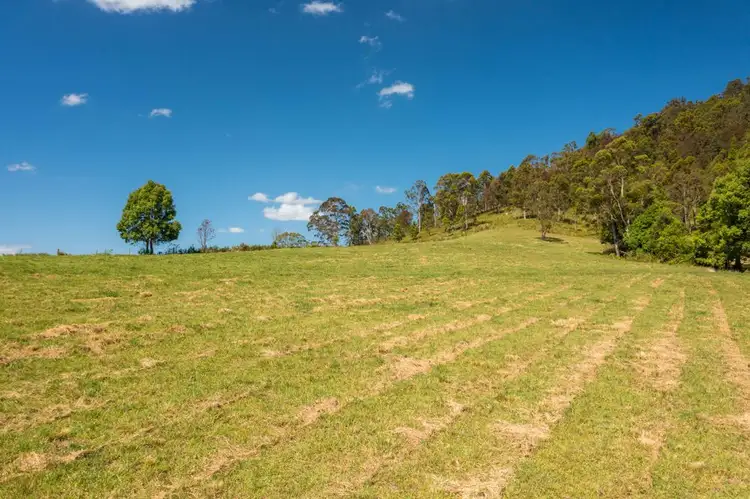 Fifth view of Homely rural property listing, 1192 Herberts Road, Ballengarra NSW 2441
