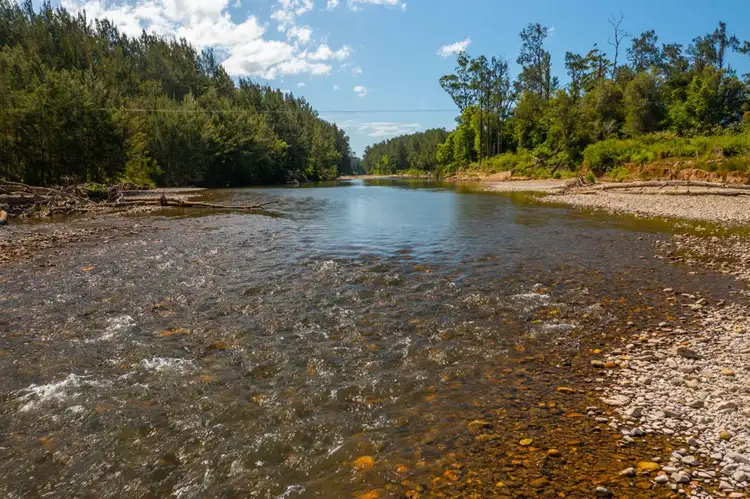 Sixth view of Homely rural property listing, 1192 Herberts Road, Ballengarra NSW 2441