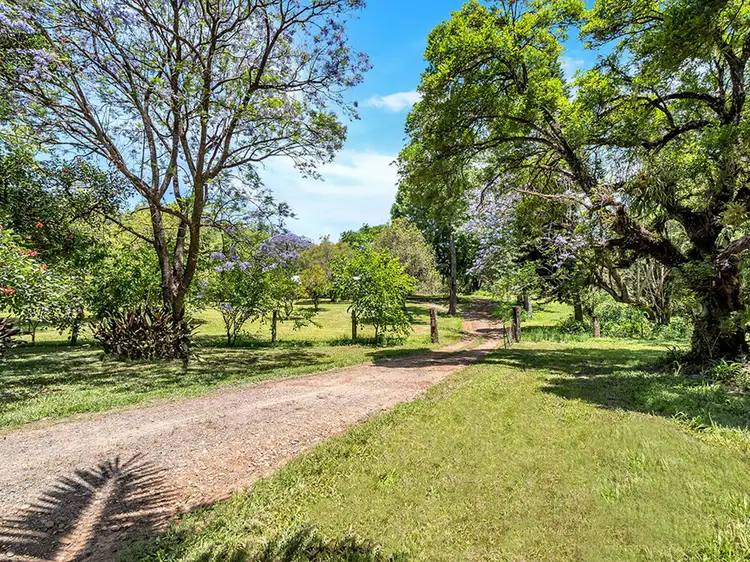 Third view of Homely house listing, 1971 Darkwood Road, Darkwood NSW 2454