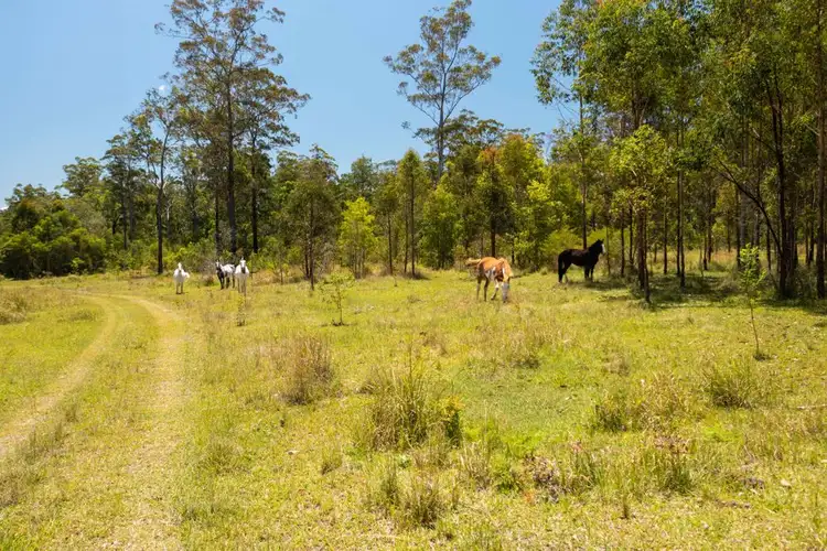 Second view of Homely rural property listing, 146-148 Sandy Creek Road, Kempsey NSW 2440