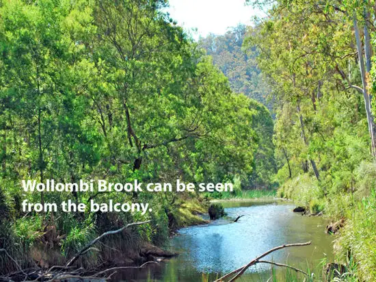 Main view of Homely rural property listing, 293 Burralong Valley Road, Murrays Run NSW 2325