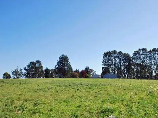 Main view of Homely rural property listing, 134 Euloo Rd, Peats Ridge NSW 2250