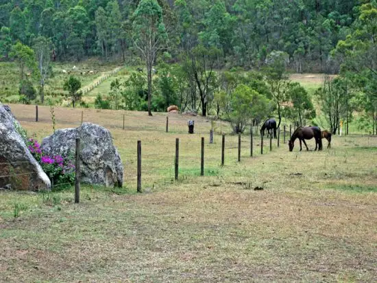 Second view of Homely rural property listing, 4673 Great North Road, Laguna NSW 2325